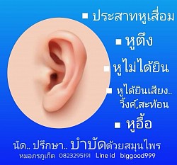 ระบบหู